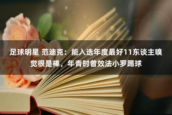 足球明星 范迪克：能入选年度最好11东谈主嗅觉很是棒，年青时曾效法小罗踢球