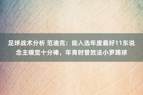 足球战术分析 范迪克：能入选年度最好11东说念主嗅觉十分棒，年青时曾效法小罗踢球