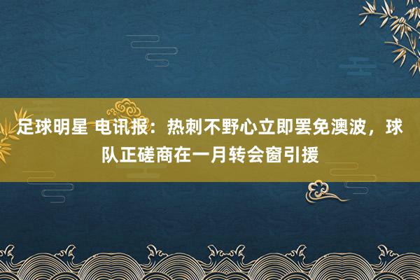 足球明星 电讯报：热刺不野心立即罢免澳波，球队正磋商在一月转会窗引援