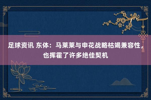 足球资讯 东体：马莱莱与申花战略枯竭兼容性，也挥霍了许多绝佳契机