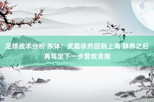 足球战术分析 东体：武磊依然回到上海 静养之后再笃定下一步营救贪图