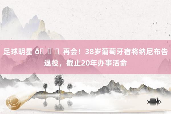 足球明星 👋再会！38岁葡萄牙宿将纳尼布告退役，截止20年办事活命